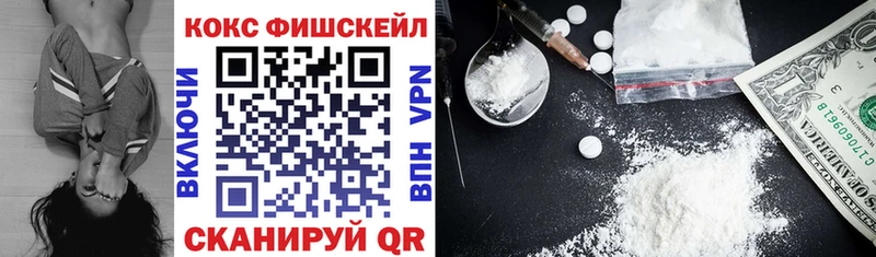 КОКАИН Fish Scale  закладка  Губкинский 