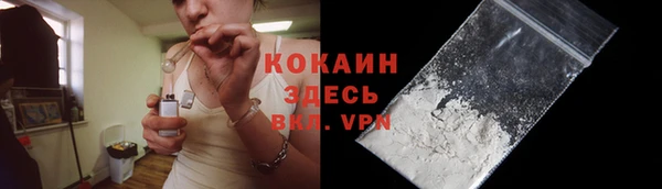 бошки Белокуриха