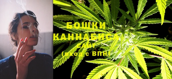 бошки Белокуриха