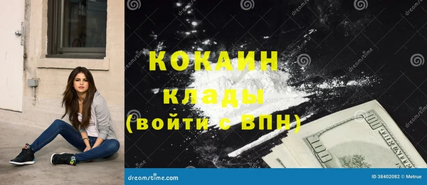 бошки Белокуриха