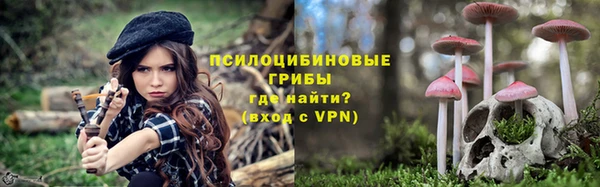 бошки Белокуриха