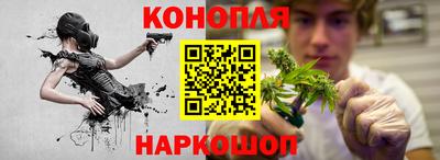 гашик Бузулук