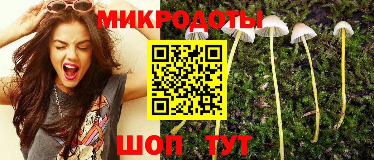 Губкинский  как найти наркотики  Вход с VPN  Галлюциногенные грибы Psilocybine cubensis 