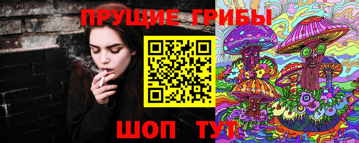 Галлюциногенные грибы ЛСД Губкинский